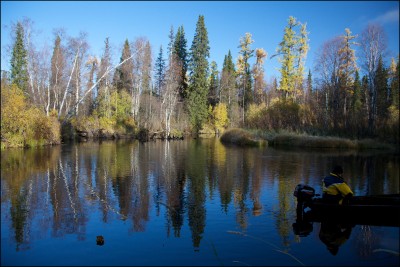Полдень.