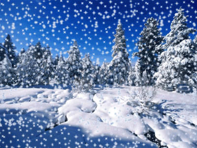 snow.gif